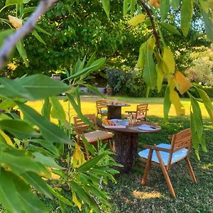 B&B La Petra Longa
